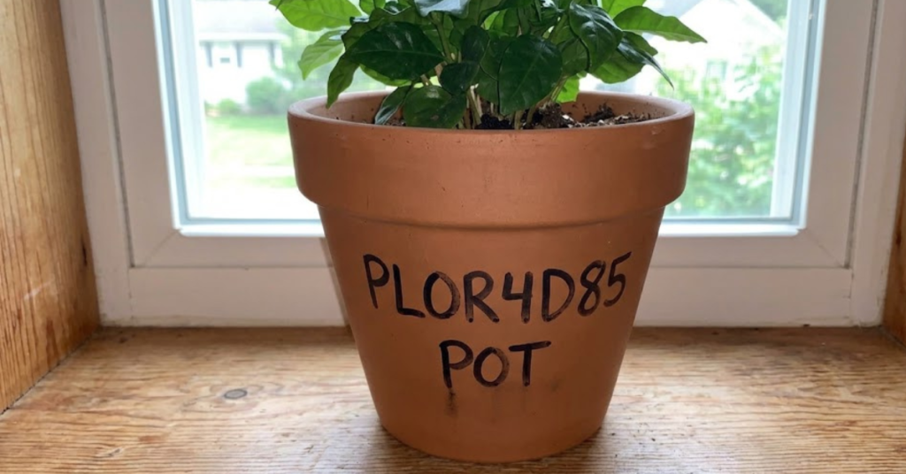 Plor4d85 Pot: Complete Guide to Uses, Heat & Performance
